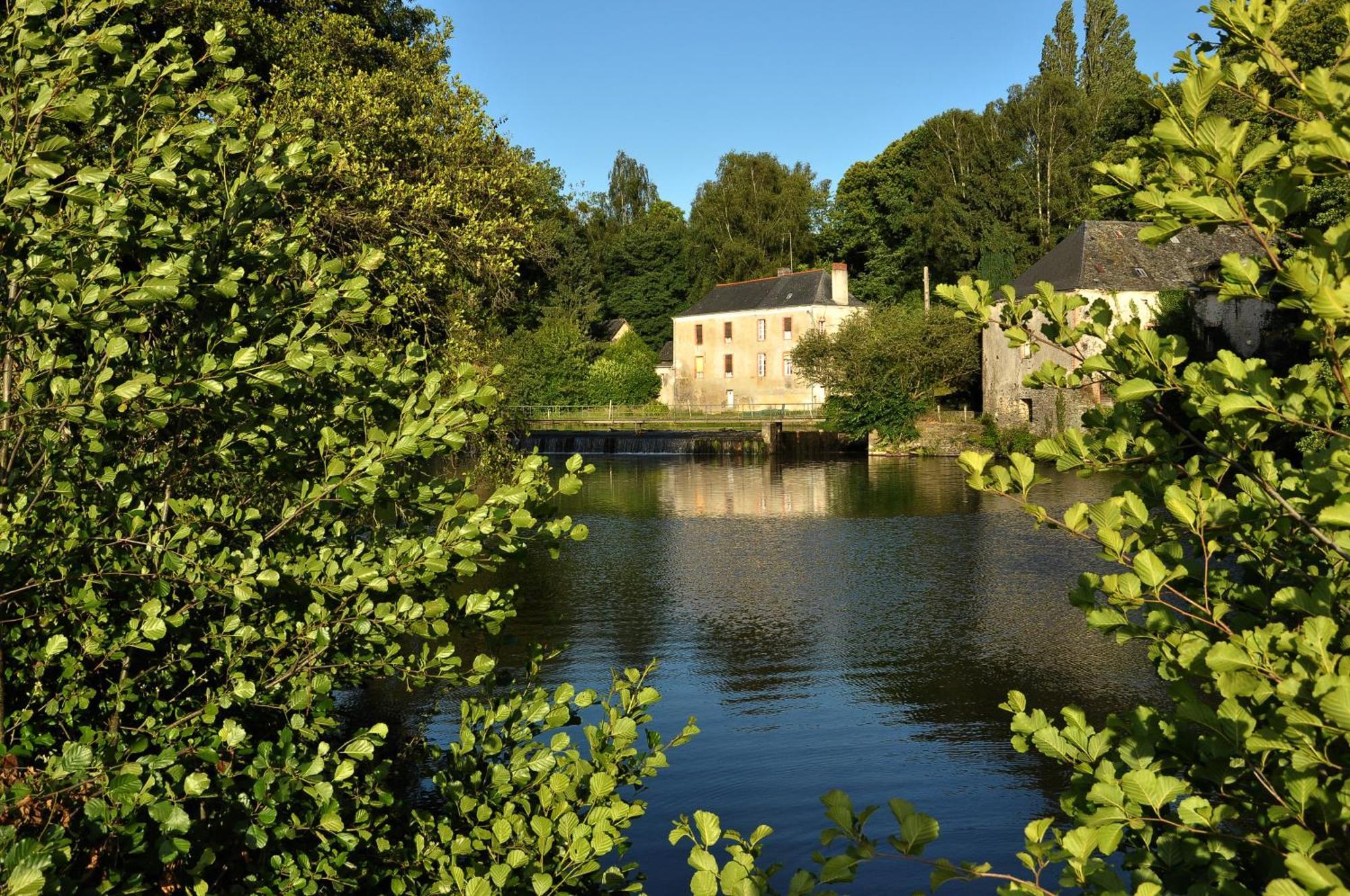 Bed and Breakfast Grange Du Plessis Segré Esterno foto